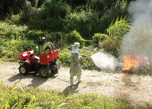 ATV forest fire